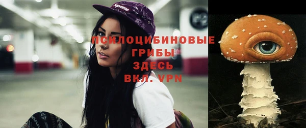 СК Балабаново