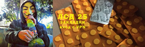 ГАЛЛЮЦИНОГЕННЫЕ ГРИБЫ Осташков